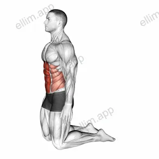Backward Abdominal Stretch exercise targeting Waist and Rectus Abdominis