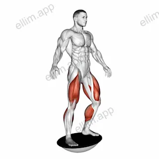 Balance Board exercise targeting Calves and Adductor Longus