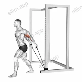 Band 45 degrees Biceps Curl exercise targeting Upper Arms and Biceps Brachii