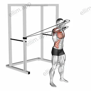 Band Alternate Incline Chest Press with Twist exercise targeting Chest and Pectoralis Major Clavicular Head