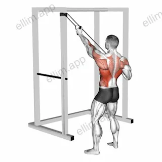 Band Alternate Lat Pulldown with Twist exercise targeting Back and Latissimus Dorsi