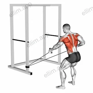 Band Alternate Low Row wtih Twist exercise targeting Back and Infraspinatus