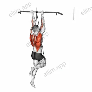 Band Assisted Chin-Up (From Knee) exercise targeting Back and Infraspinatus