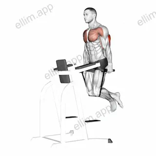 Band Assisted Dip exercise targeting Back and Triceps Brachii