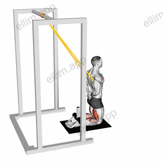 Band Assisted Floor Glute Ham Raise exercise targeting Thighs