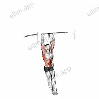 Band Assisted Muscle-up exercise targeting Back