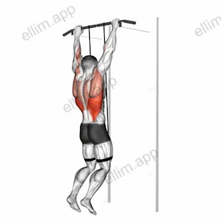 Band assisted pull up exercise targeting Back
