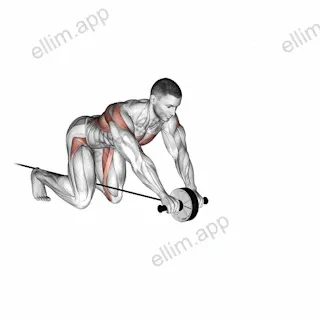 Band Assisted Wheel Rollout exercise targeting Waist and Iliopsoas
