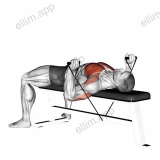 Band Bench Press exercise targeting Chest and Pectoralis Major Clavicular Head