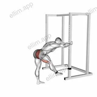 Band Bent over Hip Extension exercise targeting Hips