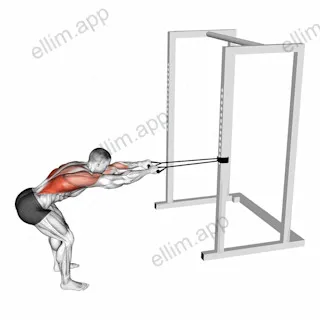 Band Bent Over Lat Pulldown exercise targeting Back and Latissimus Dorsi