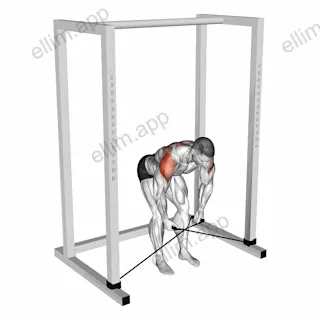 Band bent over rear lateral raise exercise targeting Shoulders