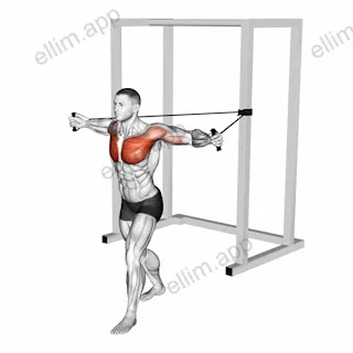 Band Chest Fly exercise targeting Chest and Pectoralis Major Clavicular Head