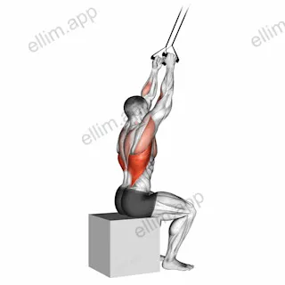 Band close grip pulldown exercise targeting Back