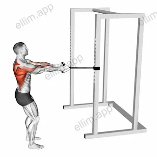 Band Close Grip Row exercise targeting Back and Infraspinatus