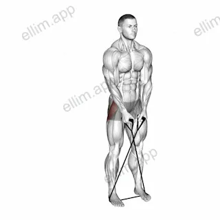 Band Cross Abduction exercise targeting Hips and Gluteus Medius