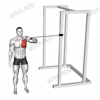 Band Cross Body One Arm Chest Press exercise targeting Chest and Pectoralis Major Sternal Head