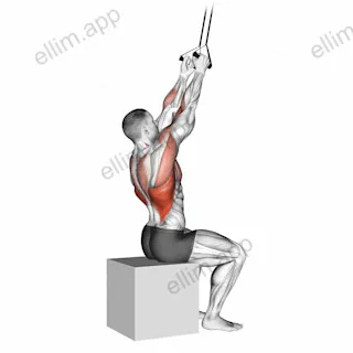 Band Fixed Back Close Grip Pulldown exercise targeting Back and Latissimus Dorsi