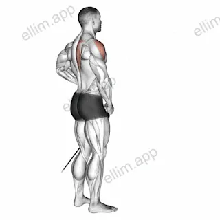 Band front lateral raise exercise targeting Shoulders and Deltoid Anterior