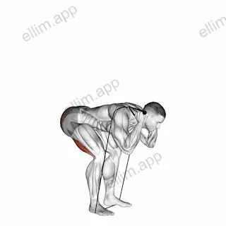 Band Good Morning exercise targeting Hips