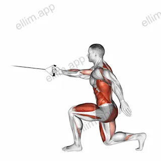 Band High Knee Lunge with Single Arm Row exercise targeting Back and Hips