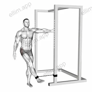 Band hip abduction exercise targeting Hips