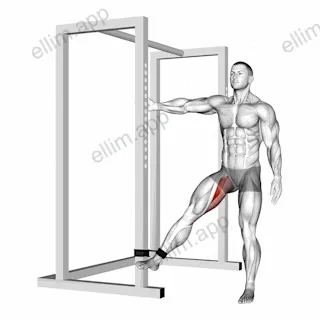 Band hip adduction exercise targeting Hips