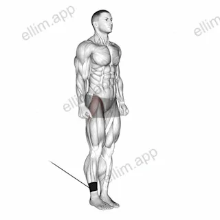 Band Hip Flexion exercise targeting Hips