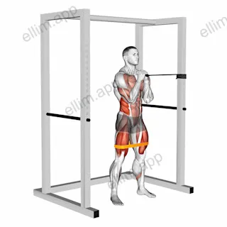 Band horizontal Pallof Press with Resistance Band Squat exercise targeting Gluteus Maximus and Obliques