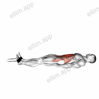 Band jack knife sit up exercise targeting Waist