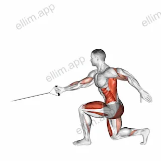 Band Jump Lunge with Single Arm Row exercise targeting Back and Hips