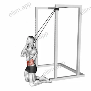 Band Kneeling Crunch exercise targeting Waist and Rectus Abdominis