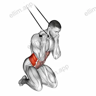 Band Kneeling Twisting Crunch exercise targeting Waist and Obliques