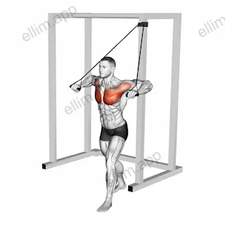 Band Low Alternate Chest Press exercise targeting Chest and Pectoralis Major Sternal Head