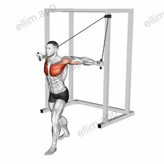 Band Low Chest Fly exercise targeting Chest and Pectoralis Major Clavicular Head