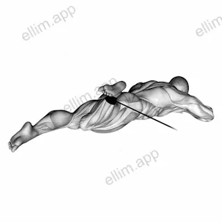 Band Lying Hip External Rotation exercise targeting Hips and Deep Hip External Rotators