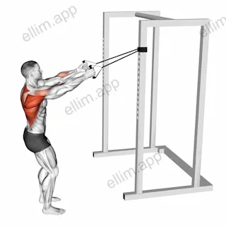Band Narrow Grip High Row exercise targeting Back and Infraspinatus