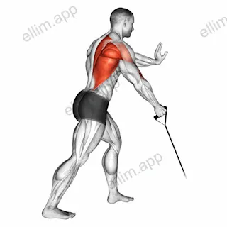Band one arm Standing Low Row exercise targeting Back and Infraspinatus