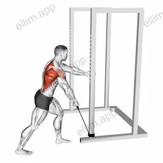 Band One Arm Standing Wide Grip Low Row exercise targeting Back and Infraspinatus