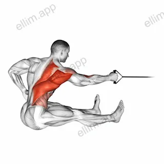 Band One Arm Twisting Seated Row exercise targeting Back and Infraspinatus