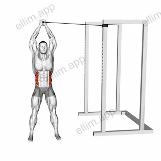 Band Overhead Side Bend exercise targeting Waist and Obliques