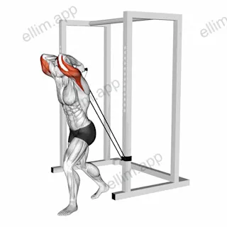 Band overhead triceps extension exercise targeting Upper Arms and Triceps Brachii