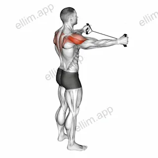 Band Pull Apart exercise targeting Shoulders