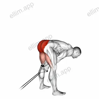 Band pull through exercise targeting Hips and Gluteus Maximus