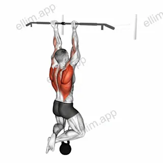 Band Resisted Chin-up exercise targeting Back