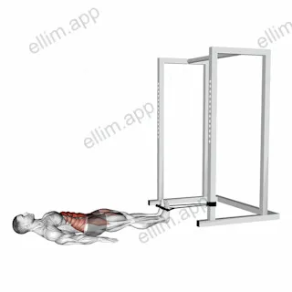 Band Reverse Crunch exercise targeting Waist and Iliopsoas