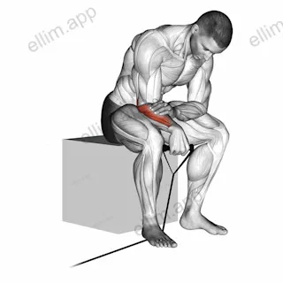 Band reverse wrist curl exercise targeting Forearms and Wrist Extensors
