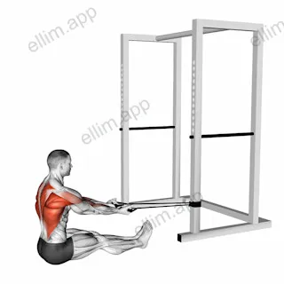 Band Seated Underhand Grip Row exercise targeting Back and Infraspinatus