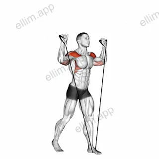 Band shoulder press exercise targeting Shoulders and Deltoid Anterior
