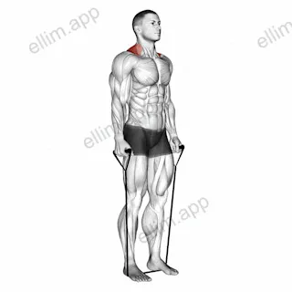 Band shrug exercise targeting Back and Trapezius Upper Fibers